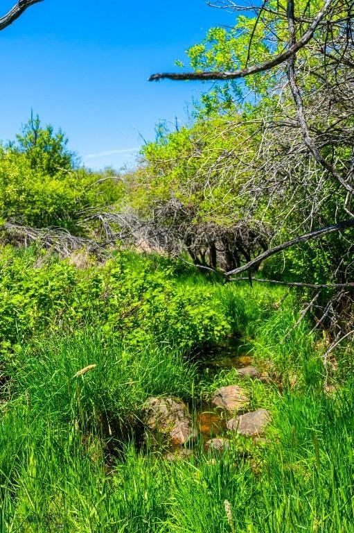 1856 Star Ridge Rd, Bozeman, MT 59715