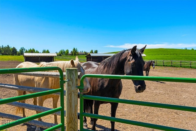 1856 Star Ridge Rd, Bozeman, MT 59715