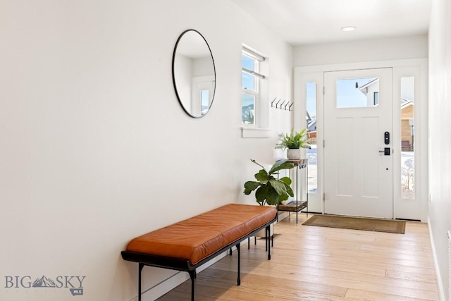 1991 Ryun Sun Way, Bozeman, MT 59718 - foyer entrance with light wood-style flooring