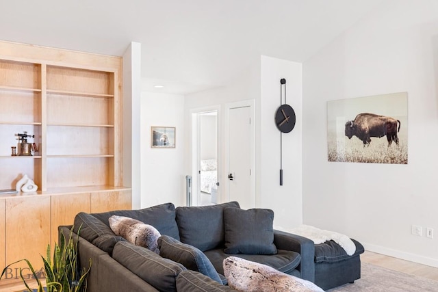 1991 Ryun Sun Way, Bozeman, MT 59718 - living room with light wood-style flooring and built in shelves