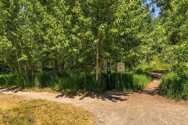 2497 Northview, Bozeman, MT 59715 - view of nature