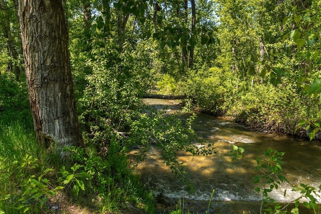 2497 Northview, Bozeman, MT 59715 - view of nature
