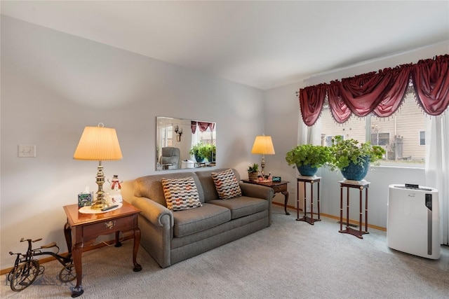 1030 N River Rock St, Belgrade, MT 59714 - living area with plenty of natural light and carpet flooring