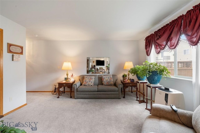 1030 N River Rock St, Belgrade, MT 59714 - living room with carpet floors and baseboards