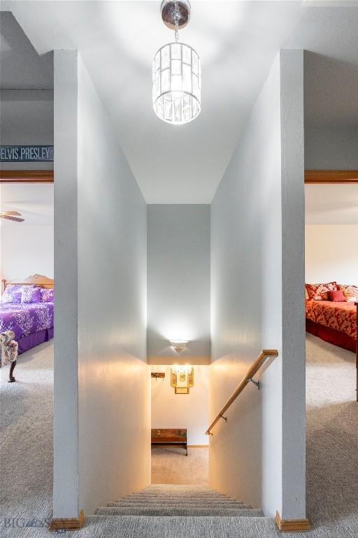 1030 N River Rock St, Belgrade, MT 59714 - staircase with carpet flooring