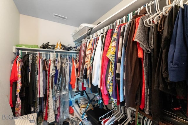 1030 N River Rock St, Belgrade, MT 59714 - view of spacious closet