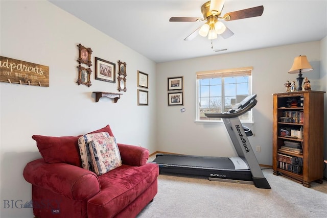 1030 N River Rock St, Belgrade, MT 59714 - exercise area featuring carpet and ceiling fan
