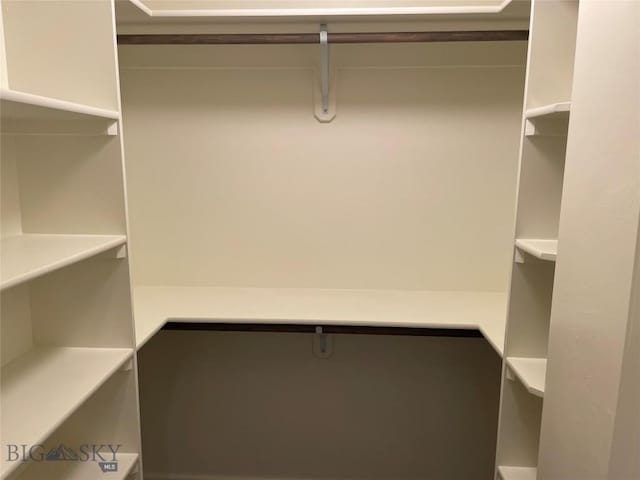 1792 Windrow Dr, Bozeman, MT 59718 - view of walk in closet