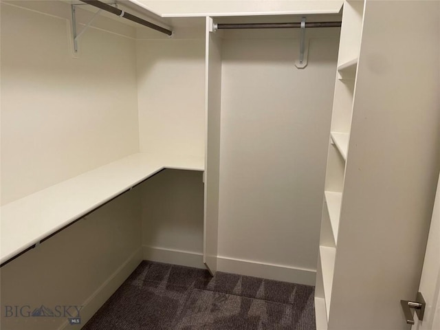 1792 Windrow Dr, Bozeman, MT 59718 - walk in closet featuring dark carpet