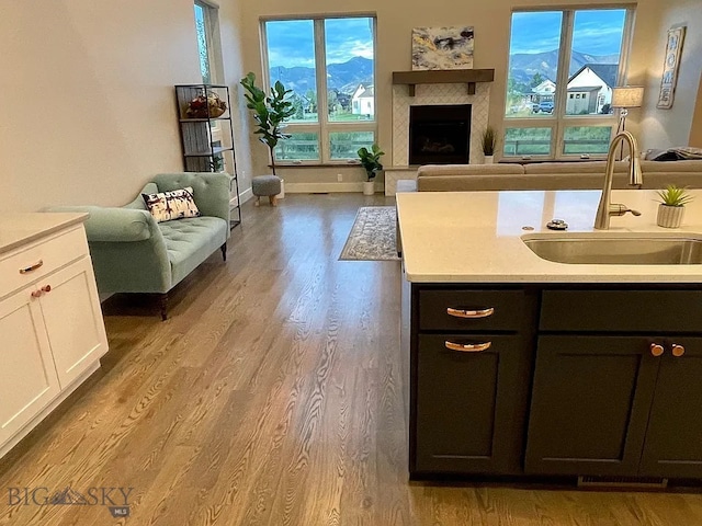 1792 Windrow Dr, Bozeman, MT 59718 - kitchen featuring open floor plan, light countertops, a fireplace with raised hearth, light wood-type flooring, and white cabinets