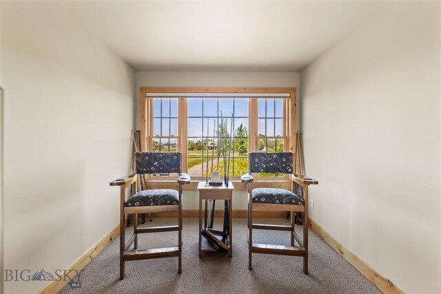 164 Wapiti Way, Bozeman, MT 59718 - photo 48