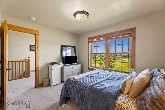 164 Wapiti Way, Bozeman, MT 59718 - photo 54
