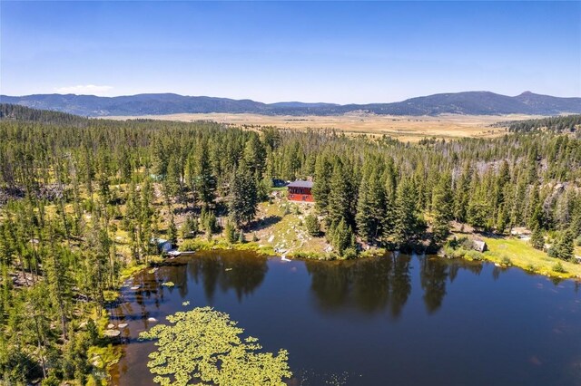 100 Nez Perce Rd, Butte, MT 59701 - view of property location with a forest and a water and mountain view
