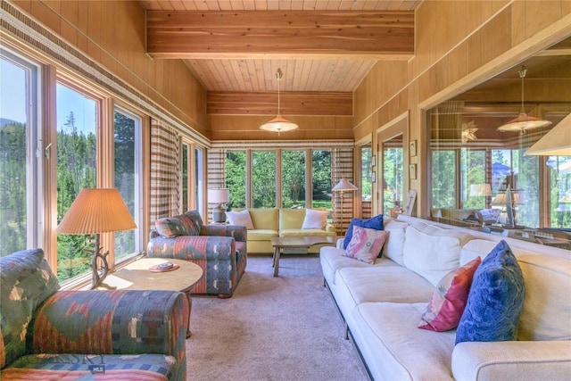 100 Nez Perce Rd, Butte, MT 59701 - sunroom / solarium featuring a wood ceiling with exposed beams, carpet floors, and wooden walls