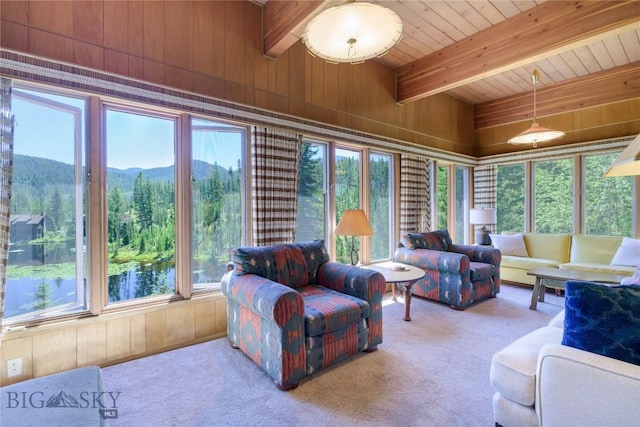 100 Nez Perce Rd, Butte, MT 59701 - sunroom with beamed ceiling and a mountain view