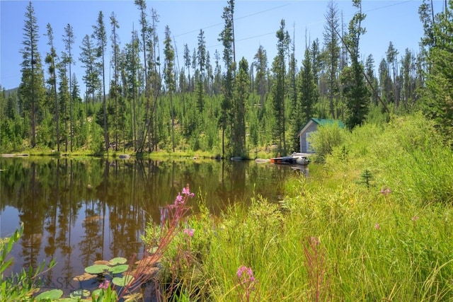 100 Nez Perce Rd, Butte, MT 59701 - water view featuring a heavily wooded area