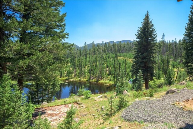 100 Nez Perce Rd, Butte, MT 59701 - mountain view featuring a heavily wooded area and a nearby body of water