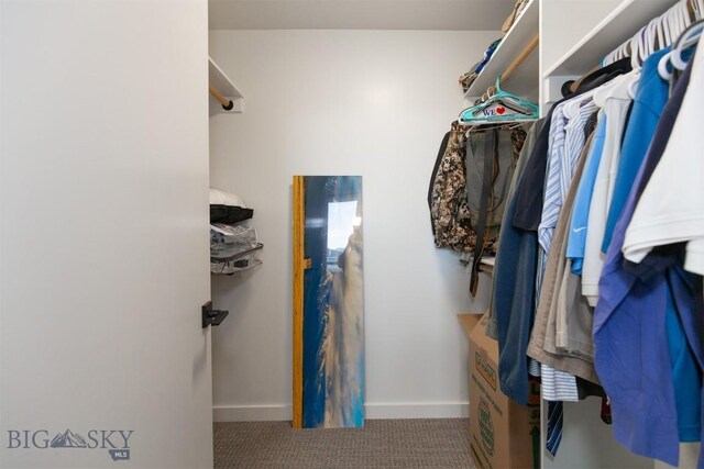 560 Enterprise Blvd Unit 48, Bozeman, MT 59718 - photo 27