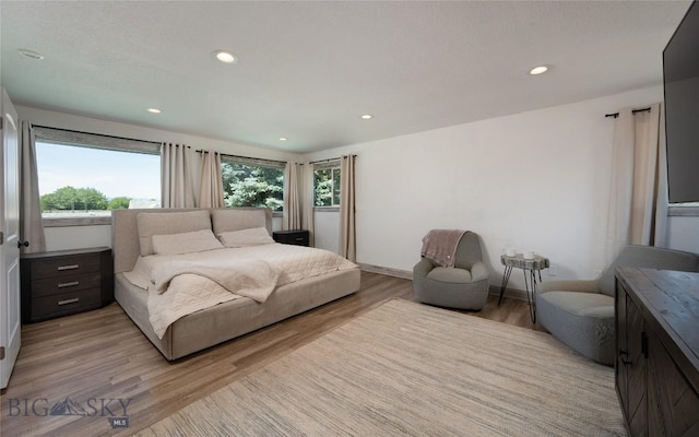 219 W Adams, Three Forks, MT 59752 - bedroom with recessed lighting and light wood-style floors