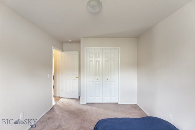 1002 E Northern Pacific Ave, Belgrade, MT 59714 - unfurnished bedroom with carpet floors and a closet