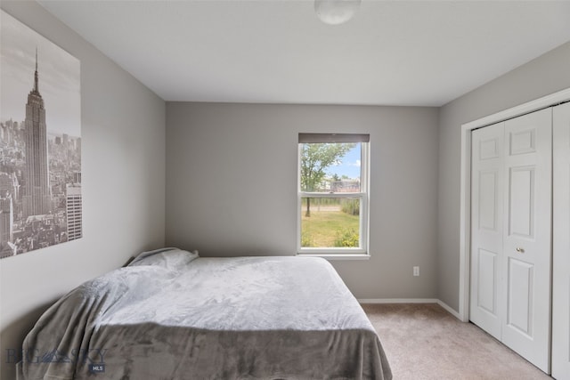 1002 E Northern Pacific Ave, Belgrade, MT 59714 - bedroom featuring light carpet and a closet