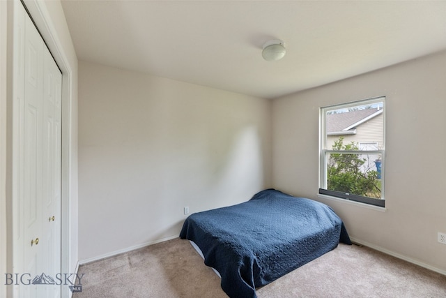 1002 E Northern Pacific Ave, Belgrade, MT 59714 - carpeted bedroom featuring a closet and baseboards