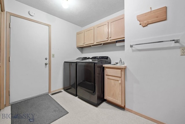 8A Gallatin Dr, Bozeman, MT 59718 - laundry area with independent washer and dryer and cabinet space