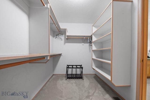 8A Gallatin Dr, Bozeman, MT 59718 - spacious closet with carpet
