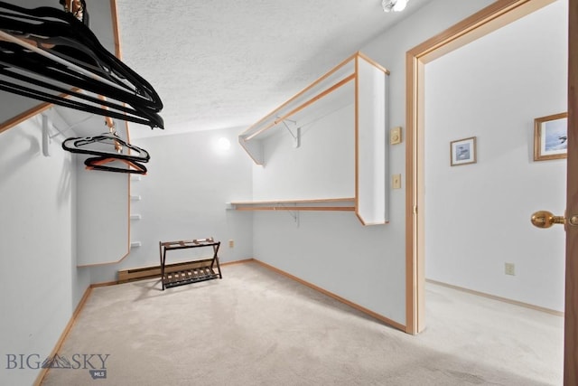 8A Gallatin Dr, Bozeman, MT 59718 - walk in closet with carpet flooring