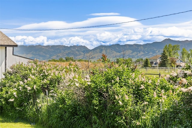 3575 Stucky Rd, Bozeman, MT 59715 - mountain view