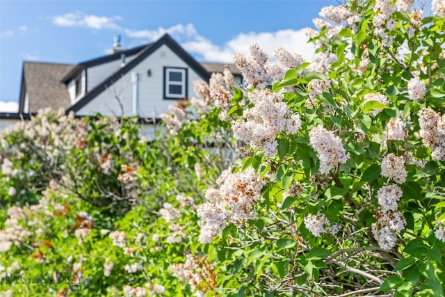 3575 Stucky Rd, Bozeman, MT 59715 - view of property exterior