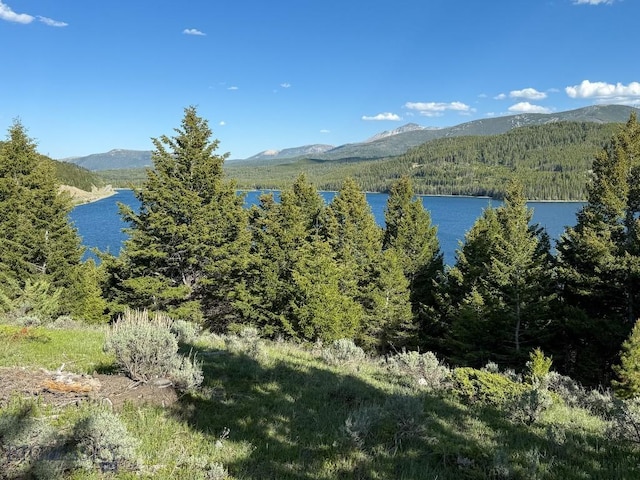 TBD(5.4+/-acres) Gold Coin Lane, Anaconda, MT 59711 - photo 21