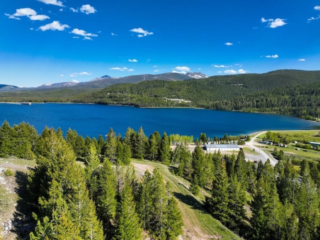 TBD(5.4+/-acres) Gold Coin Lane, Anaconda, MT 59711 - photo 1