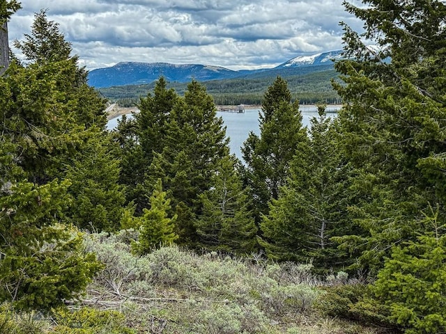 TBD(5.4+/-acres) Gold Coin Lane, Anaconda, MT 59711 - photo 2