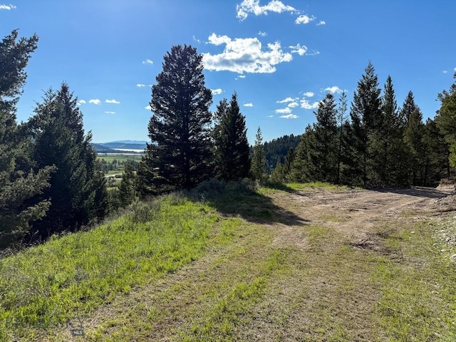 TBD(5.4+/-acres) Gold Coin Lane, Anaconda, MT 59711 - photo 4