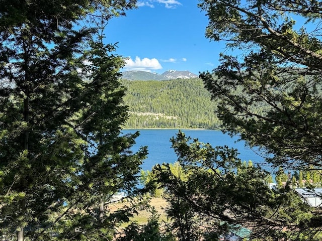 TBD(5.4+/-acres) Gold Coin Lane, Anaconda, MT 59711 - photo 5