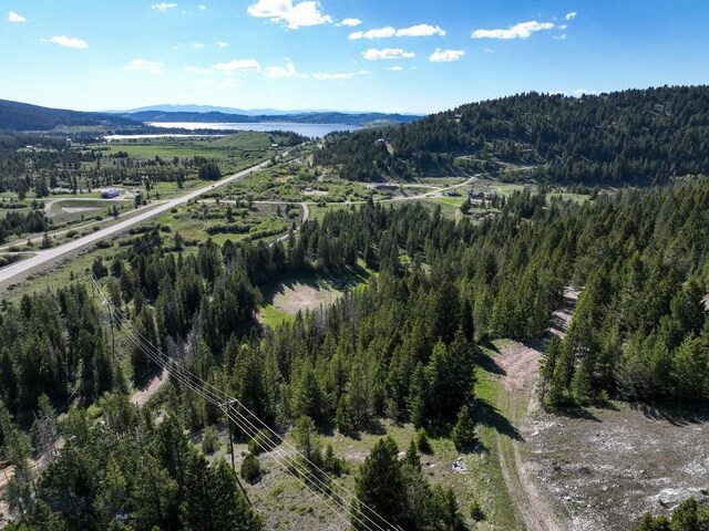 TBD(5.4+/-acres) Gold Coin Lane, Anaconda, MT 59711 - photo 10