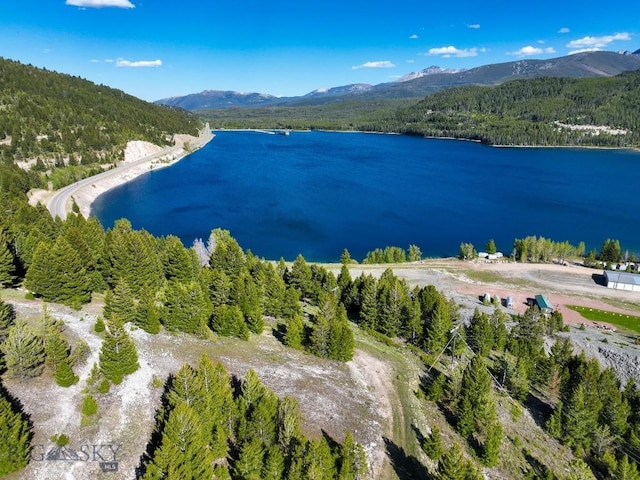 TBD(5.4+/-acres) Gold Coin Lane, Anaconda, MT 59711 - photo 11