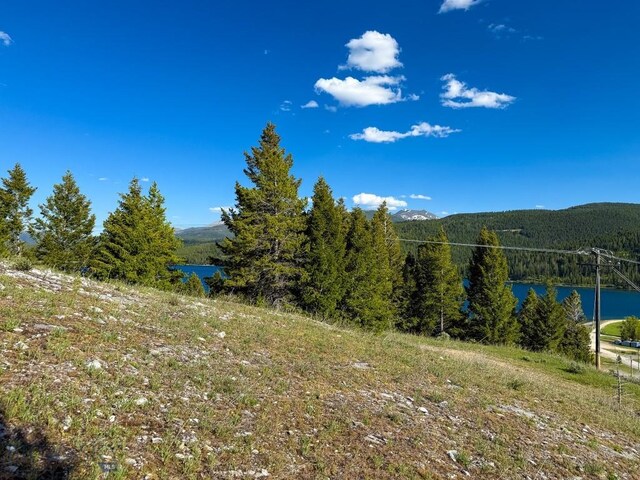 TBD(5.4+/-acres) Gold Coin Lane, Anaconda, MT 59711 - photo 17