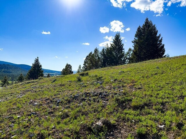 TBD(5.4+/-acres) Gold Coin Lane, Anaconda, MT 59711 - photo 18