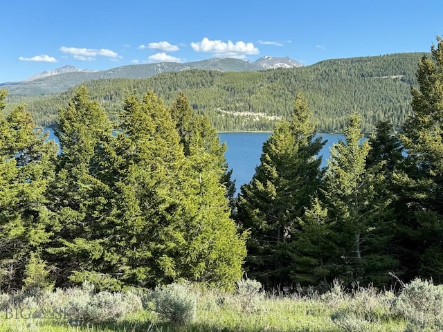 TBD(5.4+/-acres) Gold Coin Lane, Anaconda, MT 59711 - photo 22