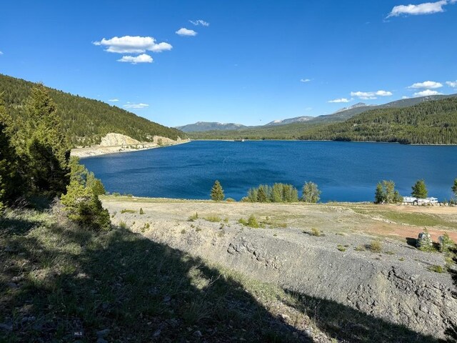 TBD(5.4+/-acres) Gold Coin Lane, Anaconda, MT 59711 - photo 23