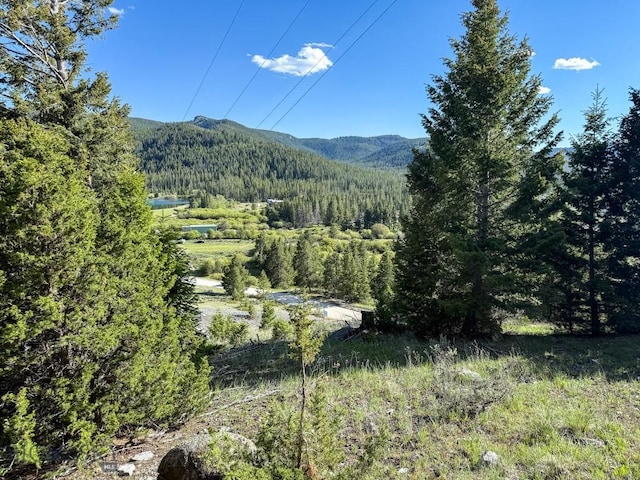 TBD(5.4+/-acres) Gold Coin Lane, Anaconda, MT 59711 - photo 25