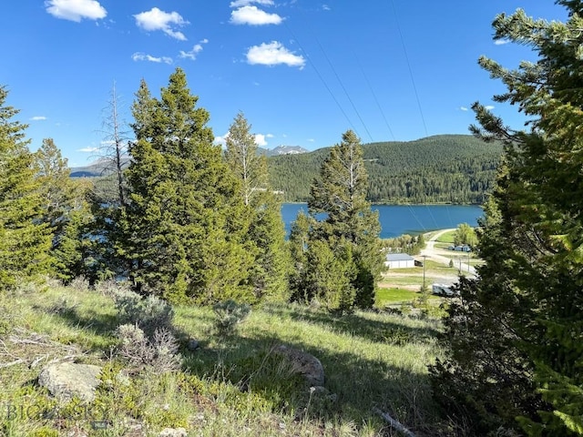 TBD(5.4+/-acres) Gold Coin Lane, Anaconda, MT 59711 - photo 27