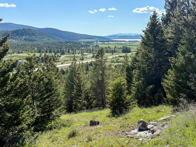 TBD(5.4+/-acres) Gold Coin Lane, Anaconda, MT 59711 - photo 28