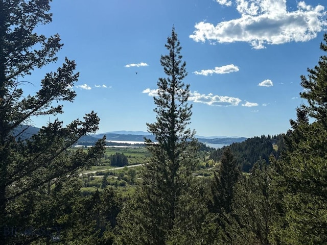 TBD(5.4+/-acres) Gold Coin Lane, Anaconda, MT 59711 - photo 31