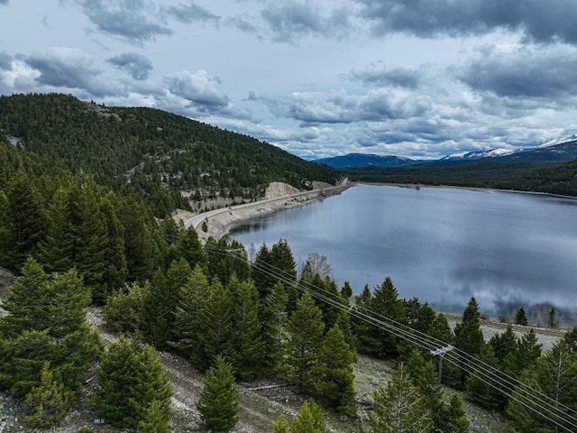 TBD(5.4+/-acres) Gold Coin Lane, Anaconda, MT 59711 - photo 35