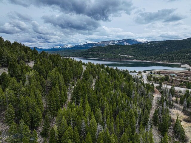 TBD(5.4+/-acres) Gold Coin Lane, Anaconda, MT 59711 - photo 37
