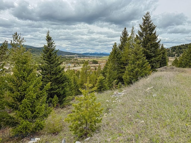 TBD(5.4+/-acres) Gold Coin Lane, Anaconda, MT 59711 - photo 40