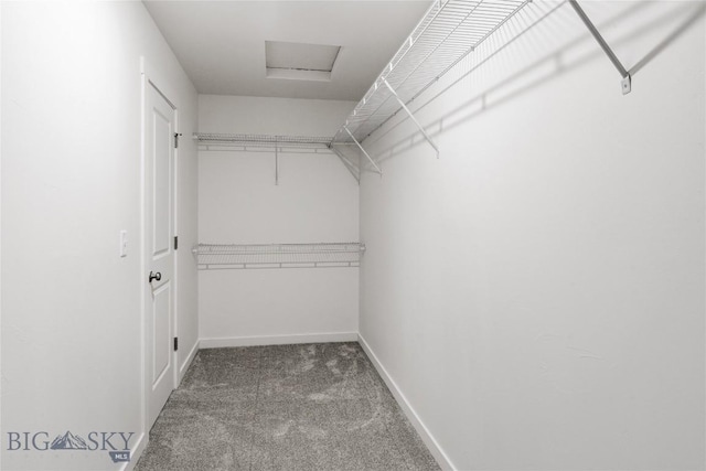 608 Mira Way Unit A, Belgrade, MT 59714 - spacious closet featuring carpet floors and attic access